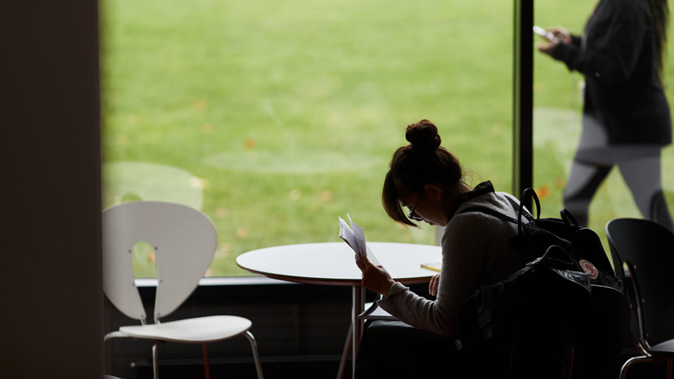 A student looking out to the College Green from inside the Whitehead Building